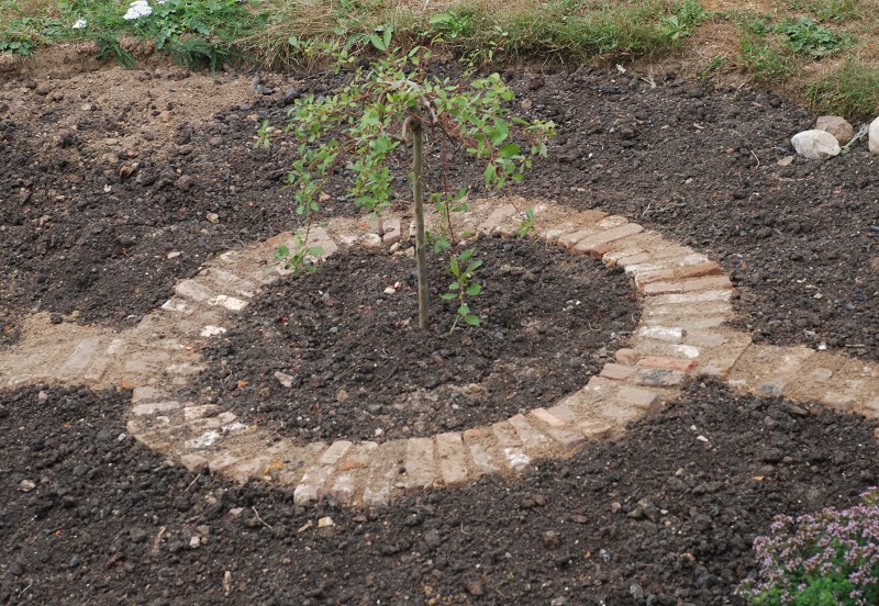 herb bed progress 062.JPG