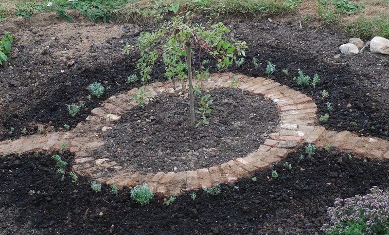 herb bed progress 064.JPG