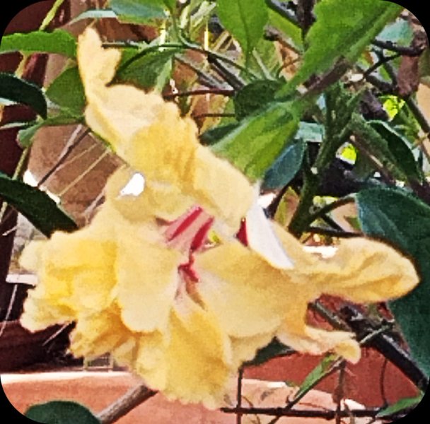 Hib agoda Y2 6 Oct 25.jpg