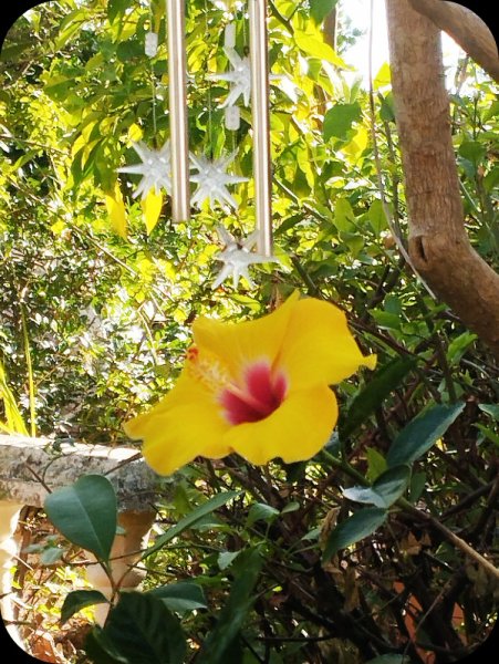 hibb April 5 oct 252 Oct _5.jpg