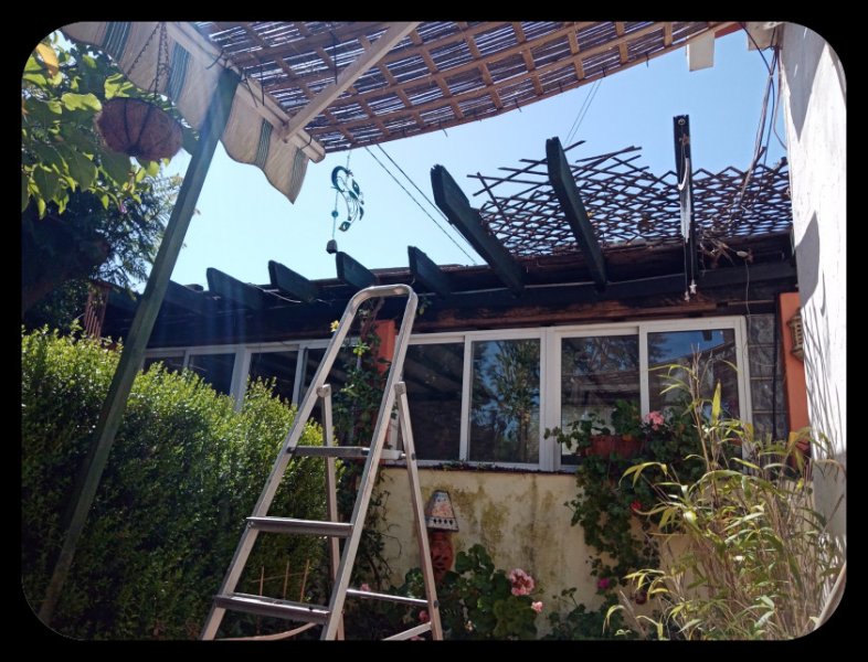 Hibbertia Removal 30 Apr 22.jpg