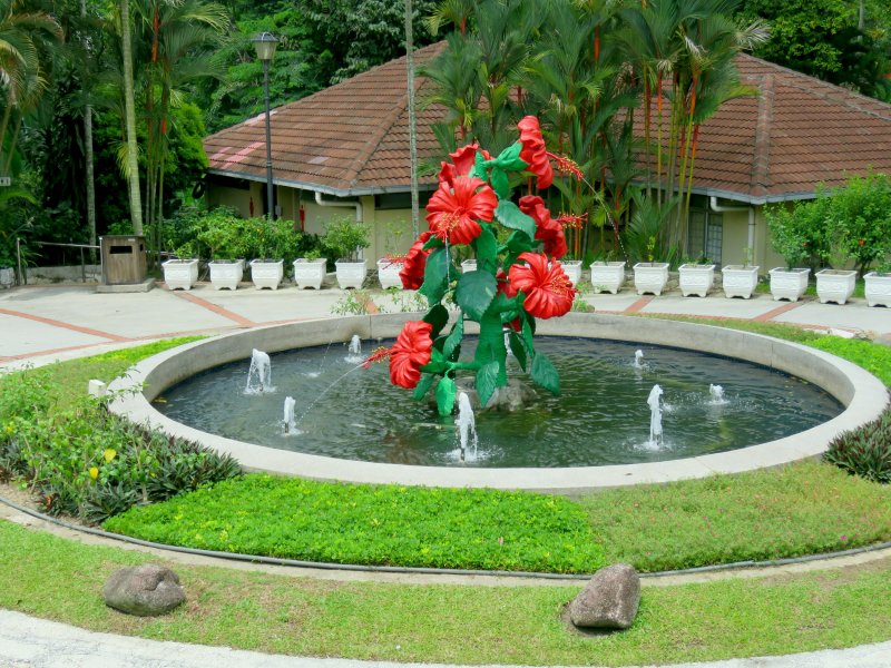 Hibiscus gardens.JPG