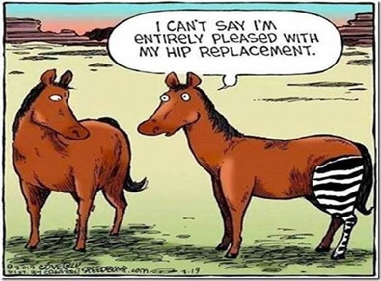 Hip replacement.jpg