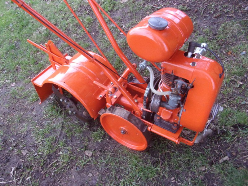 Howard Bulldog_485.JPG