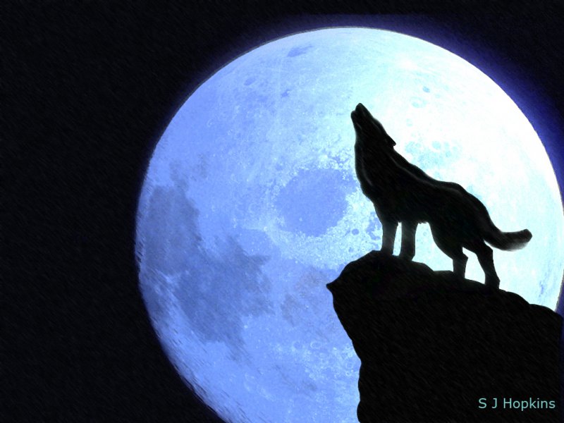 Howling_at_the_moon_by_SHopkins.jpg