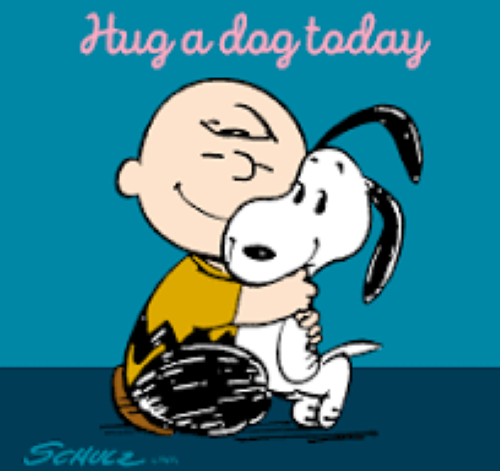 Hug a dog today.png