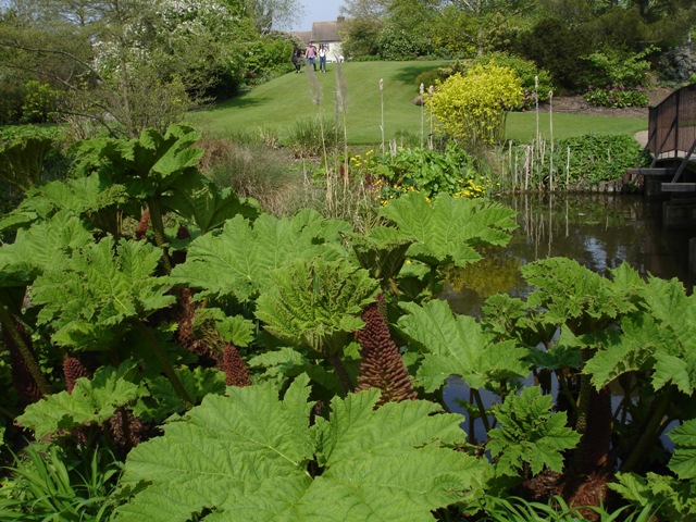 Hyde Hall 024 - Copy.JPG