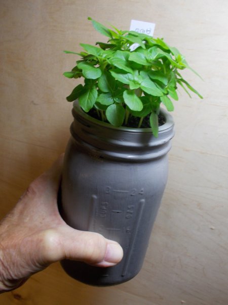 hydrobasil.jpg