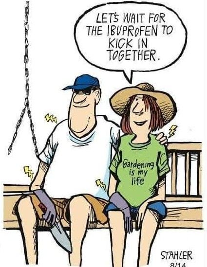Ibuprofen.jpg