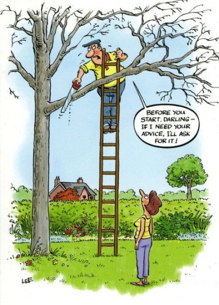 If I need your opinion.jpg