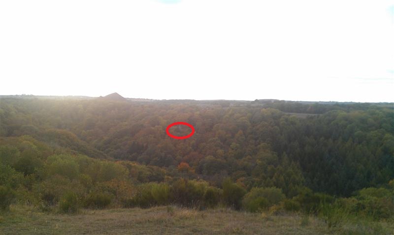 IMAG0477 (Custom).jpg