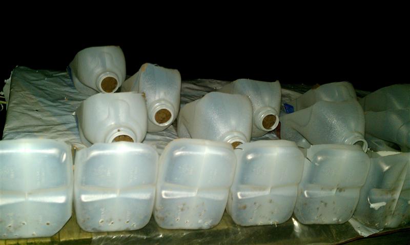 IMAG0590 (Custom).jpg