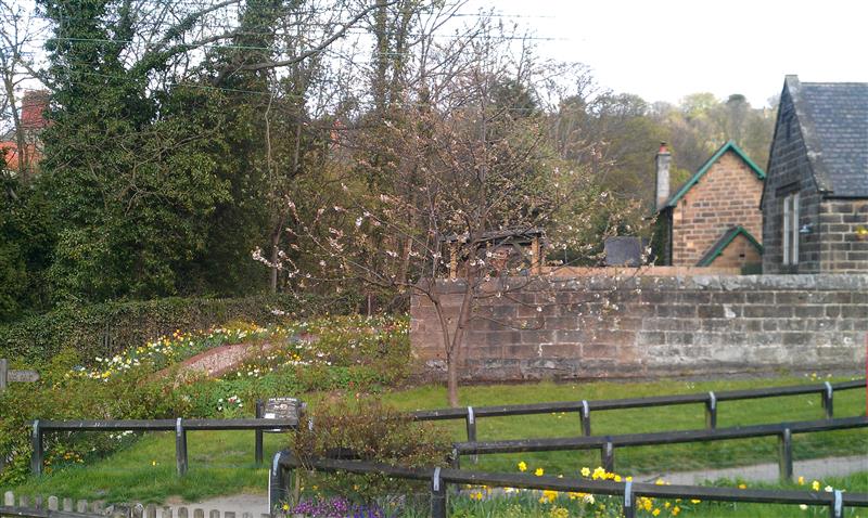 IMAG0884 (Custom).jpg