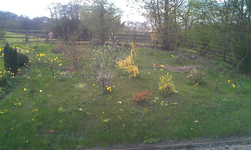 IMAG0885 (Custom).jpg