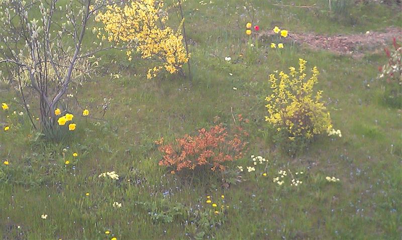 IMAG0886 (Custom).jpg