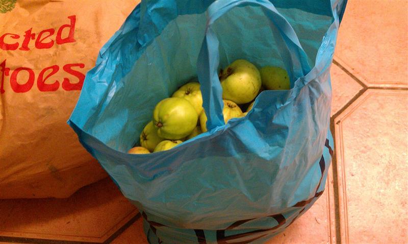 IMAG1635 (Custom).jpg