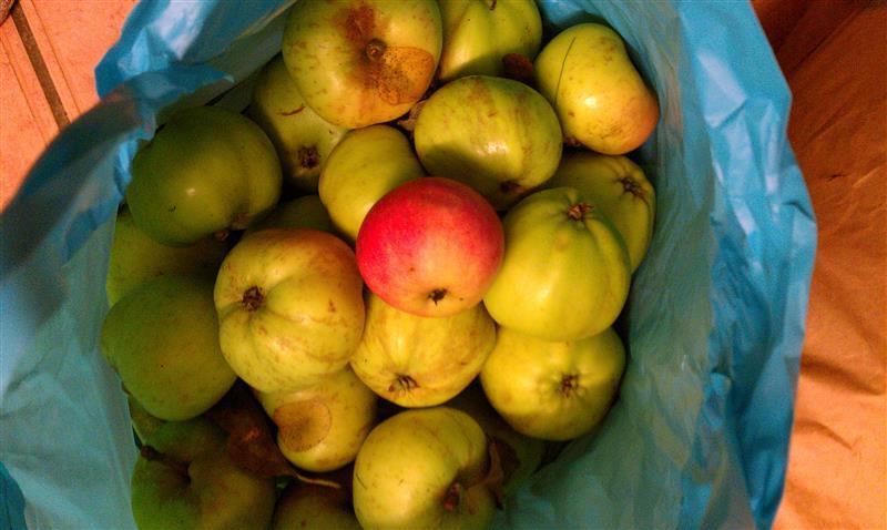 IMAG1636 (Custom).jpg