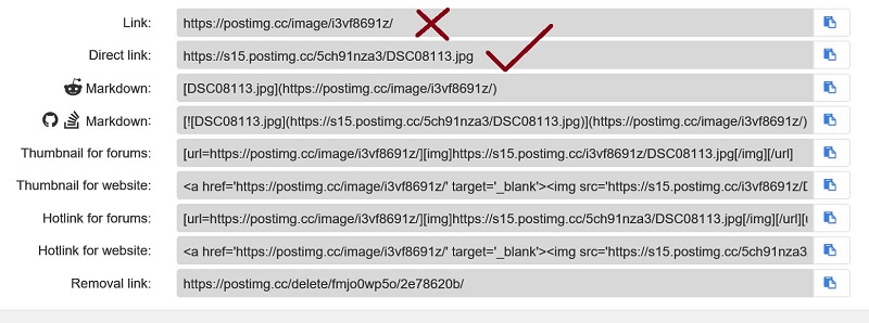 image not displaying.JPG