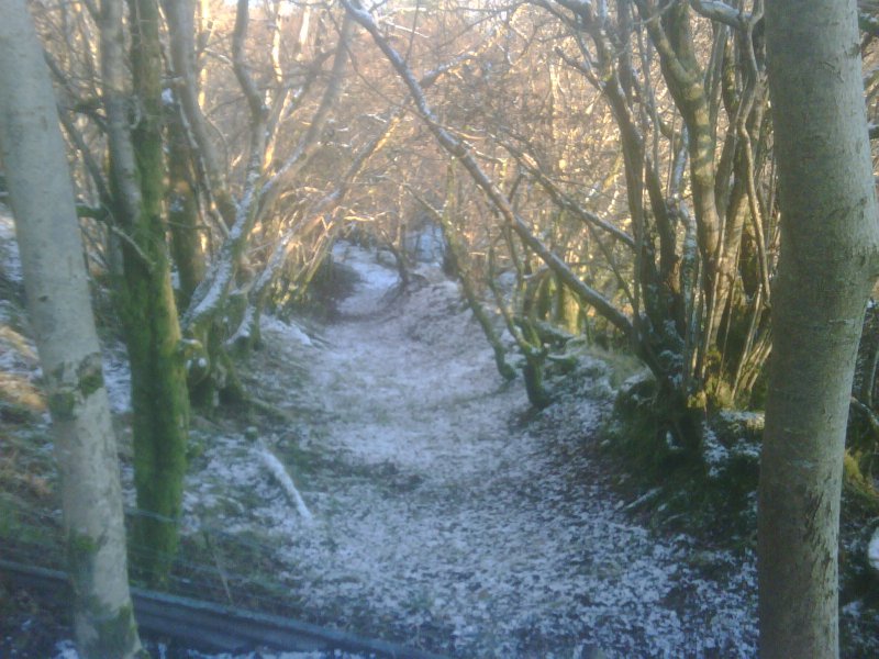 IMG00726-20101127-1541 00000.jpg