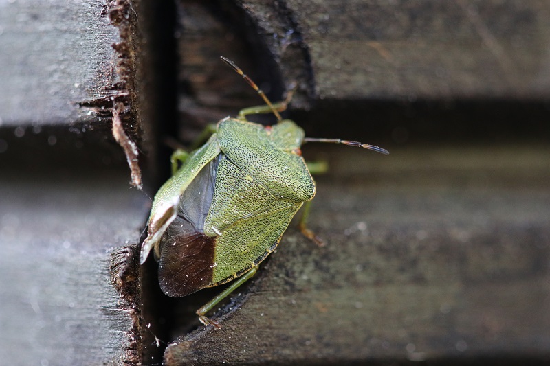 IMG_0513 resize-1.jpg