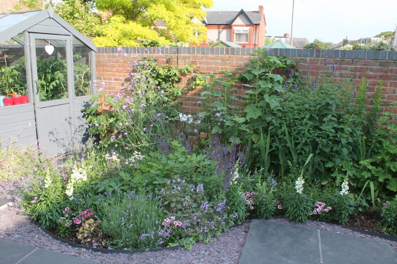 IMG_1641 (2) (800x533).jpg