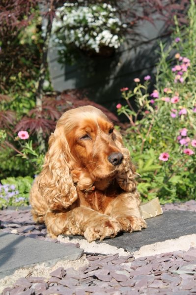 IMG_1646 (2) (533x800).jpg