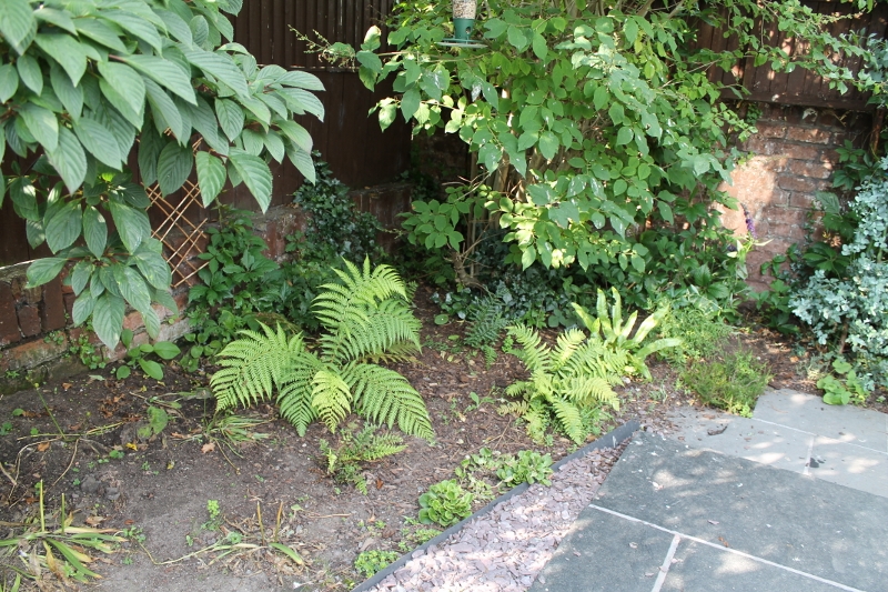 IMG_1651 (2) (800x533).jpg