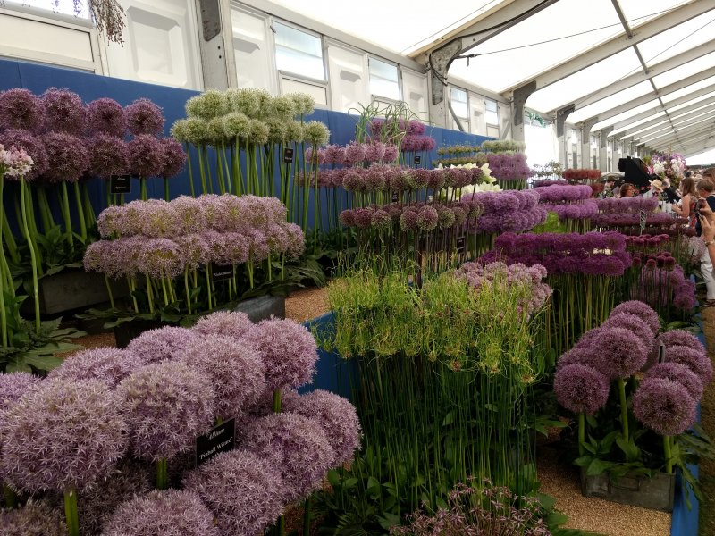 IMG_20180706_110325309 (1).jpg