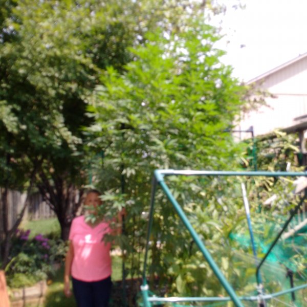 IMG_20180815_131924 (1).jpg