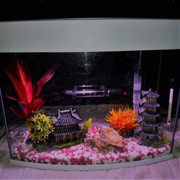 IMG_20181207_211526_4 (2).jpg