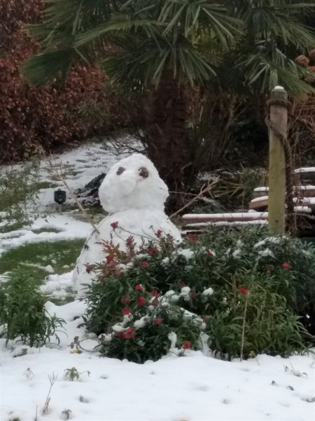 IMG_20190201_123456055 (2).jpg