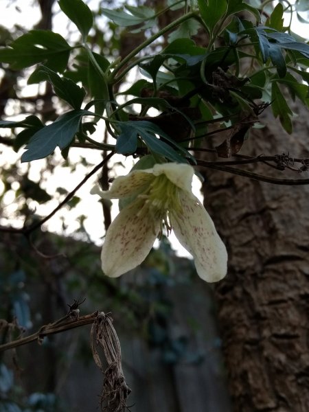 IMG_20190221_162324312_BURST001 (2).jpg