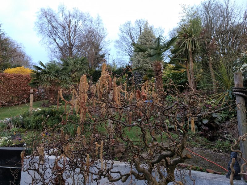 IMG_20190319_174836815 (2).jpg