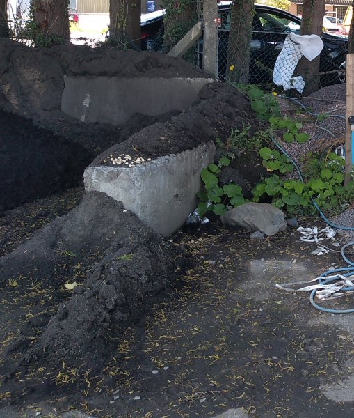 IMG_20200623_114423491 Cropped.jpg