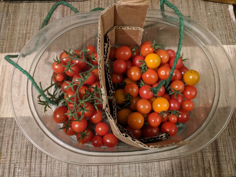 IMG_20200803_235323 (2).jpg