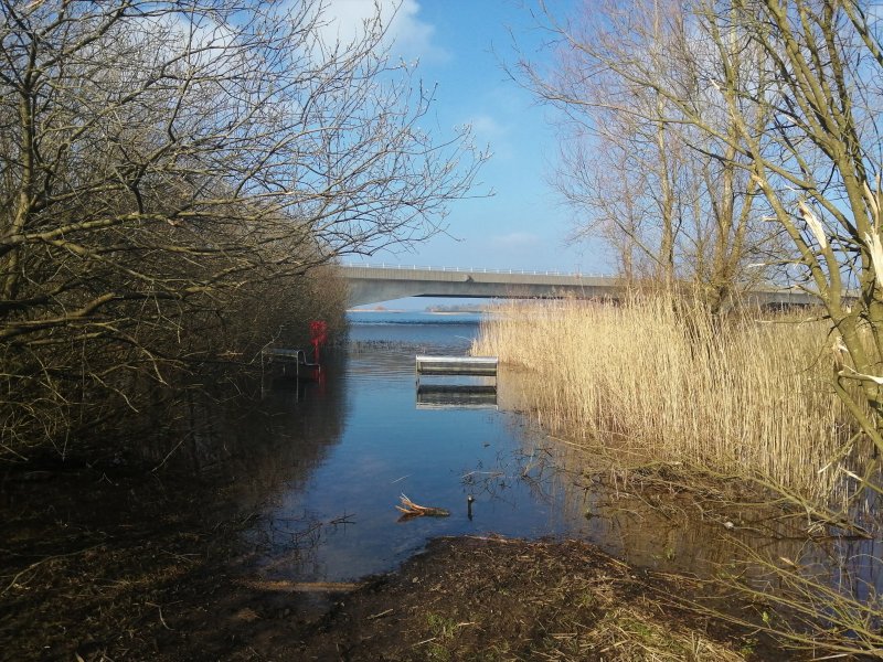 IMG_20210301_133617 (3).jpg