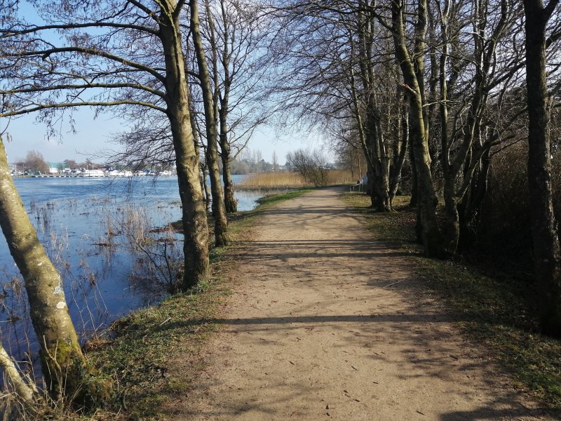 IMG_20210301_133909 (2).jpg