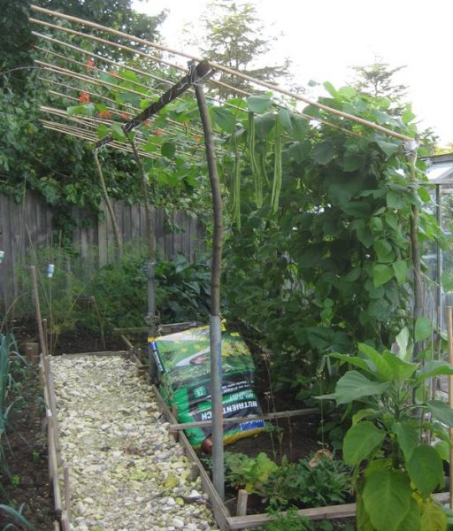 IMG_7087 resized.JPG