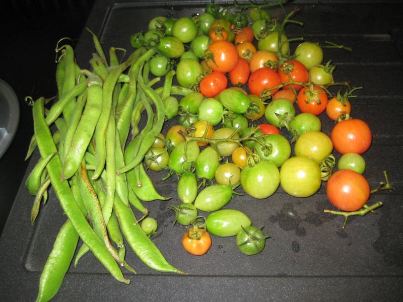 IMG_7301 resized.JPG