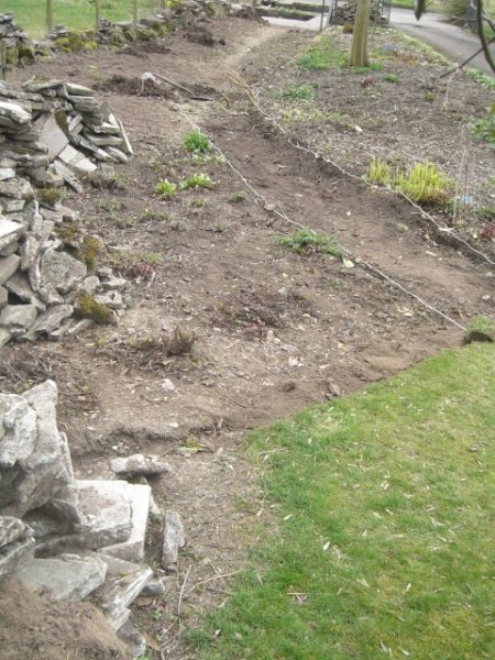 incomplete path (1).JPG