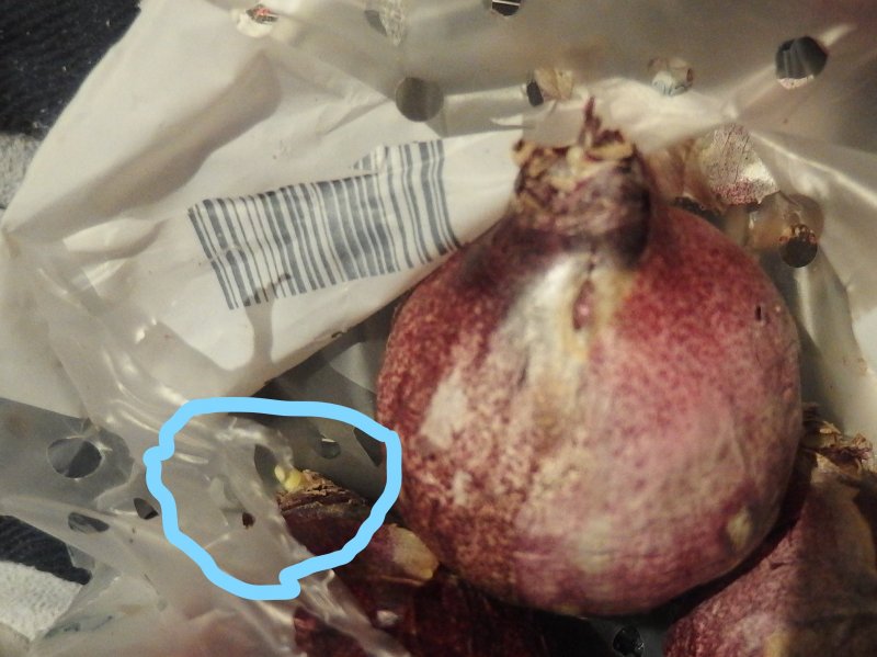 InkedPA100250_LI (2).jpg