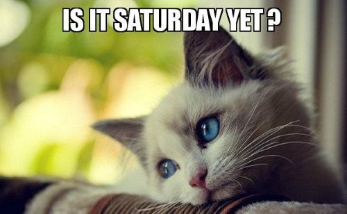 is-it-saturday-5bc1e1.jpg