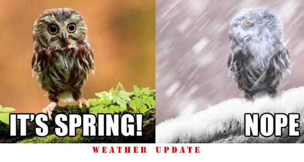 ITS-SPRING.jpg