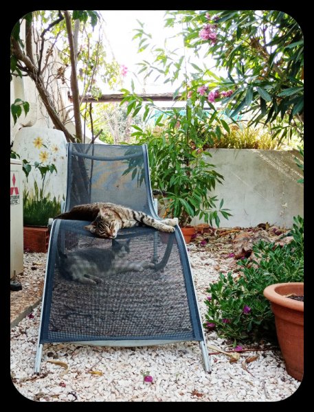 ITwo in Reading Room 21 Jul.jpg