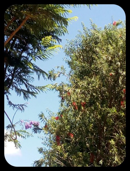 Jak & Callie 22 Jun.jpg