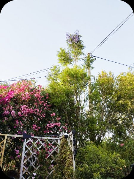 Jak e Lane1 20 Jun 25.jpg