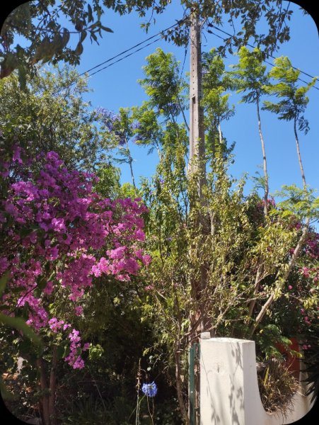 Jak Le Lane1 25 Jun 25.jpg