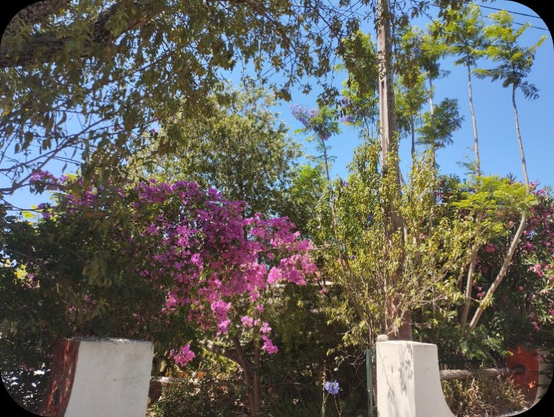 Jak le Lane2 25 Jun 25.jpg