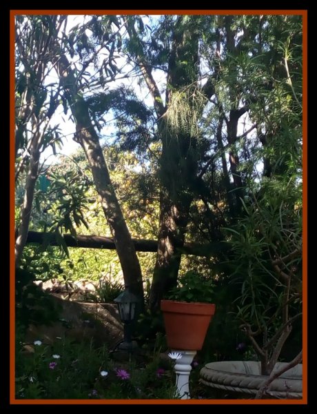 Jak Trunk 1 May 20.jpg