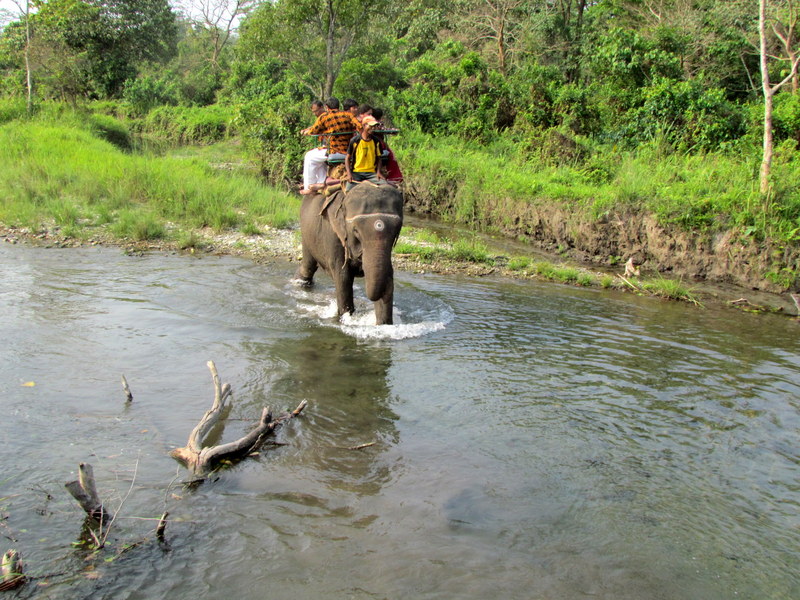 JALDAPARA  WILD  LIFE  SANCTUARY  ELEPHANT  SAFARI 17-04-2011 07-48-19.JPG